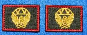 Петлицы ЖДВ