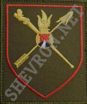 Шеврон полка РХБЗ