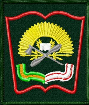 Шеврон ВУЦ ЮРГПУ-НПИ Платова