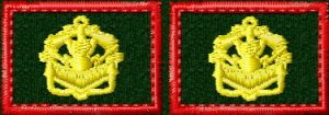 Петлицы инженерных войск