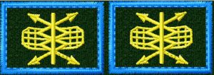 Петлицы РТВ