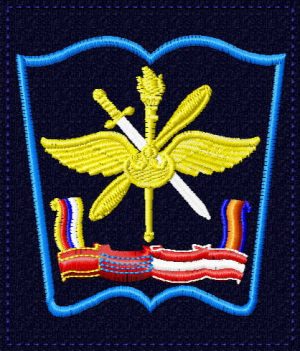 Шеврон Военно-воздушной академии им Жуковского и Гагарина