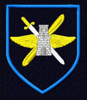 Шеврон 3661 авиабазы