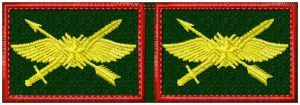 петлицы бпла с красным кантом